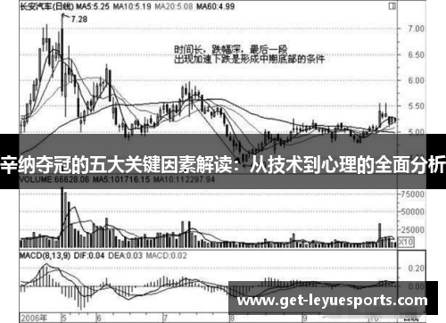 辛纳夺冠的五大关键因素解读：从技术到心理的全面分析