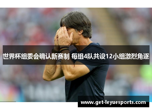 世界杯组委会确认新赛制 每组4队共设12小组激烈角逐